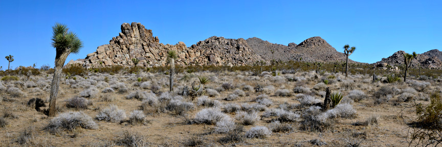 Barker-Dam-Panorama-flattened-right-adj-v2-12472