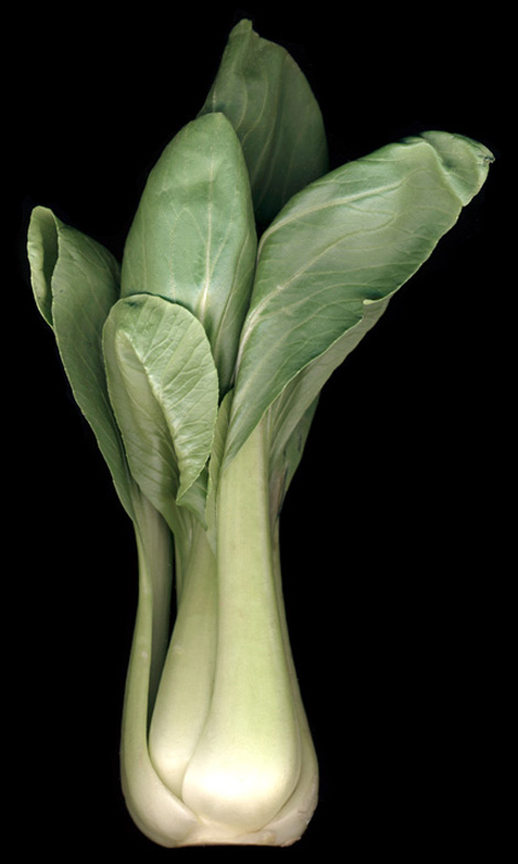 bok-choy-adjusted-with-layers