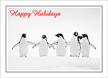 5-penguins-2024-Christmas-card-etsy