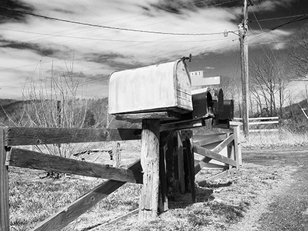 P3270152 BWA 1216360