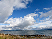 _DSC1977