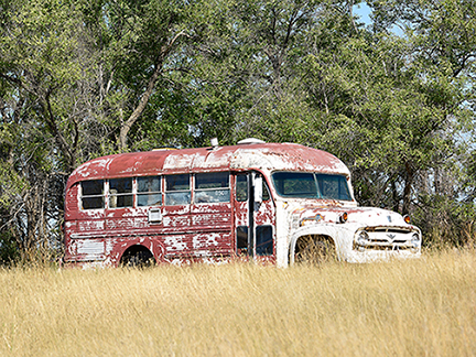 _DSC2161-burt-nd-v2-1216360