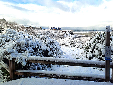 20250203_091813-v2-kalaloch-1216360